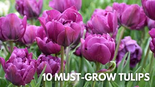 10 Must-Grow Tulips!