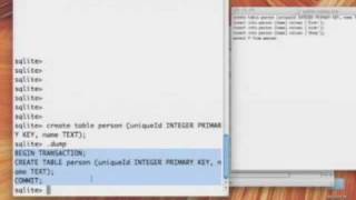 9. Dealing with Data: User Defaults, SQLite, Web Services