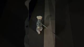 POV: when you think the first edible working￼ #funny #memes #comedy #ilytommy #meme #funnymeme