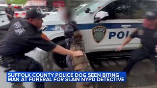 Police dog seen biting man at funeral for slain NYPD detective