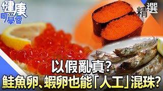 以假亂真？ 鮭魚卵、蝦卵也能「人工」混珠？【57健康同學會】精華篇｜廖慶學 嚴立婷 譚敦慈 陳耀寬 呂珮薰 溫國智