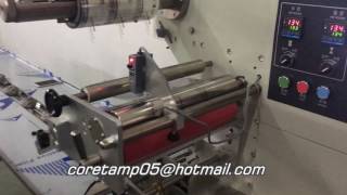 Stainless Steel Scourer, Steel Scrubber packing machine
