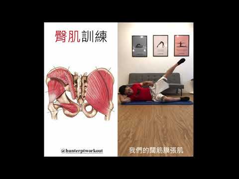 臀肌訓練─蚌殼式&側抬腿