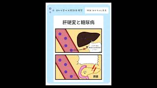 肝硬変と糖尿病  #解剖生理学#肝硬変 #糖尿病