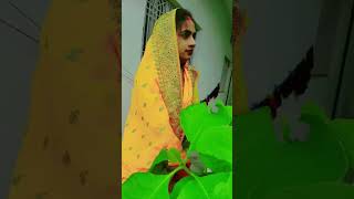 27 July 2025#viralvideo #video #song #vlogvideo #shortvideo