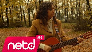 Perim Akıncı - Ferman