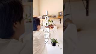100均商品で観葉植物ラックDIY🪴!!#DIY#観葉植物