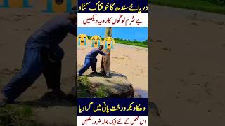 sindh river ka katao dekhin #flood #heavyraining #weatherupdate
