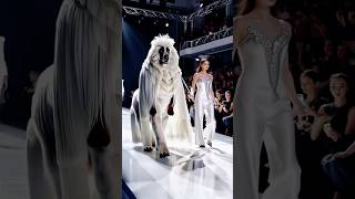 The fashio show animals ai  #shortvideo #funny #fashionevent #fashion #babymodel