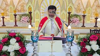 Holy  Mass Monday  5.30  AM I I Syro  Malabar I Fr Bineesh Augustine  Malayalam