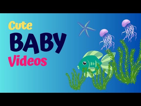 Baby Video