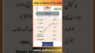 CFO Jobs in Bank of Punjab  #infojobs #jobsinpakistan #bopjobs #bankjobs #bankingjobs