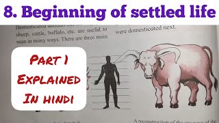5th Std - Evs 2 - Chapter 8 Beginning of settled life explained in hindi - Maharashtra board
