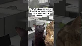 Literally #zonedoutcat #cat #officememe #boss #Meme #catsoftiktok #creative #capcut #catedit