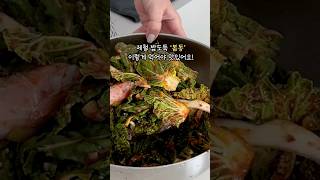 밥 비벼먹기 좋은 봄동 겉절이 #초간단요리