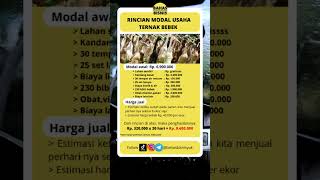 Rincian modal usaha ternak bebek