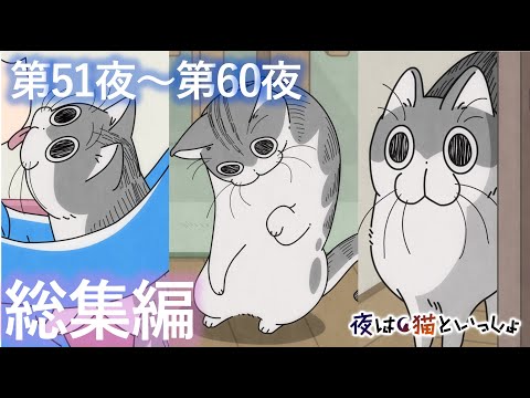 アニメ『夜は猫といっしょ』×10！【第51夜～第60夜まとめ】