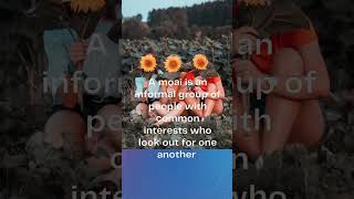 "Moai" "Connected for life" Japanese ♥️ secret #ikigai #books #health #longlife #secret #reading