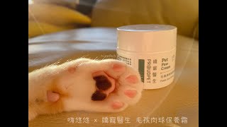 【嗨悠悠 #開箱】嬌寵醫生 毛孩肉球保養霜｜為寵物打造粉嫩肉球