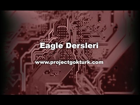 Eagle Dersleri #3 - İsim vermek, Değer Atamak ve Etiket Mantığı