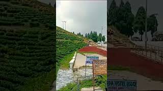 Sukhia pokhari To Nepal kanyam .gf🦍 and bf🪔 enjoy tea garden ❤ #love #couple #romantic
