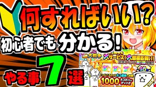 【にゃんこ大戦争】初心者必見!10と1/2周年イベントから始めた人でも分かりやすくやる事解説【ゆっくり解説】