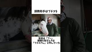 【ぶち壊す】ブチコの面白エピソード#shorts #競馬予想 #競馬 #ソダシ