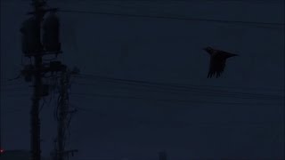 Камин - EMIN & JONY ( Slowed Reverb - Deep Version )