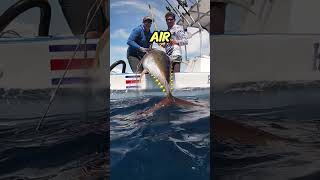Fakta Unik Ikan Tuna!