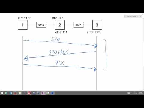 Netcat and TCP in a Virtual Linux Network