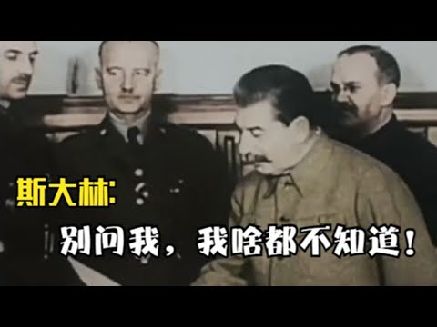 1943年，“卡廷森林惨案”现场影像，斯大林“神演技”装糊涂