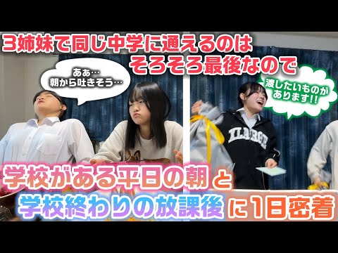 3姉妹で同じ中学校に一緒に登下校できるのはそろそろ終わりなので、ろこまこあこの学校がある平日の朝と放課後の1日に密着したらまさかの…www