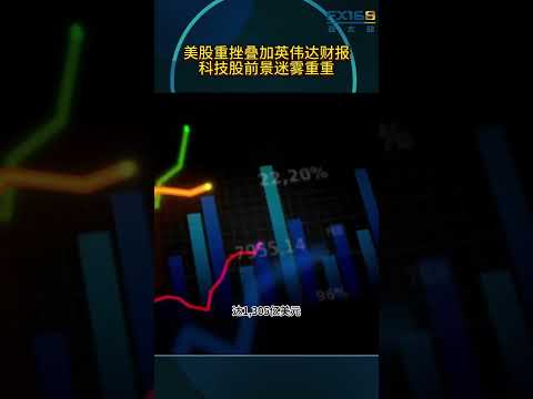 美股重挫叠加英伟达财报，科技股前景迷雾重重
