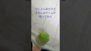 まめしばチームがらぶなびルートを歌いました