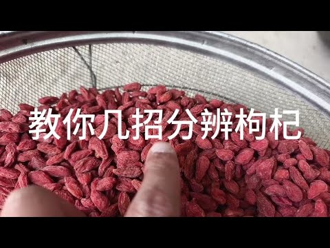 看枸杞色差看纹路，看是否暗红猪肝红，这几招轻松分辨熏染枸杞。