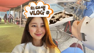 호주 치대생 VLOG [1] 첫 대면 수업 • GRWM • 잡담 • 고양이