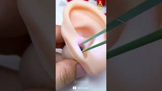 ear cleaning with light #earcleaning #facts #diyprojects #easydiy #reallifehacks #artandcraft #home