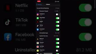 How to on/off all application data on your IPhone