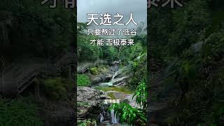 天选之人不是一般人，他们的磁场特别强，有时还能提前知道一些事情，天选之人会遇到很多困难和挑战，病痛精神折磨，感情折磨，爱情痛苦，经济困哪，孤独和难受，感觉像丢了半条命，目的是让你明白因果轮回的...