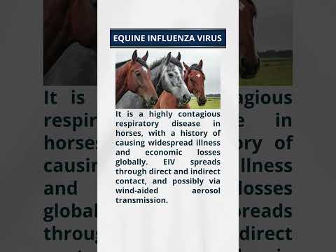#virus #horse #india #currentaffairs #upsc #ias #ips #bpsc #ias #ips #bpsc #uppsc #civilservices