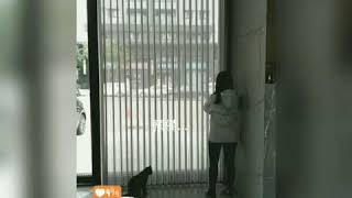 - 磐沐空間設計｜直立柔紗簾介紹篇 -