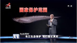《杂志天下》长江生态保护，我们是认真的 20190109