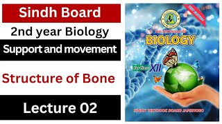 structure of bone || support and movement || class 12 biology Sindh board New book
