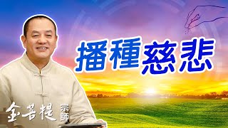 一個報恩的薑農 播種慈悲 行菩薩道 | 優秀八卦點 3 | 直播 #金菩提宗師