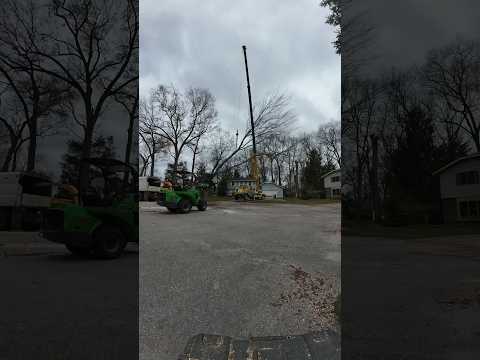 Vanderkooi Boys shutting down a cul-de-sac near you soon! #treeservice #arborist #arboristlife