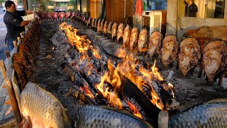 Amazing Iraqi Style Grilled Fish Around Charcoal and wood Fire | Erbil-Kurdistan Street Foods