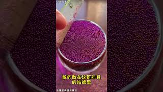 和我结婚三年的男人出轨了！#有声 #漫画解说 #小说 #小说推文 #小说言情 #青春 #霸总
