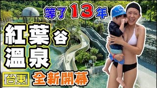 【台東紅葉溫泉】紅葉谷綠能溫泉 布農部落休閒園區 鹿野高台 鹿野大骨麵 鹿鳴吊橋