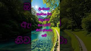 ලිංගිකව එක් වෙනකොට එයත් ලයිට් නිමනවද #sinhalaketikatha #shortvideo #shortstory