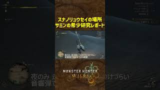 スナノリュウセイの場所 #モンハンワイルズ #モンスターハンター #monsterhunterwilds